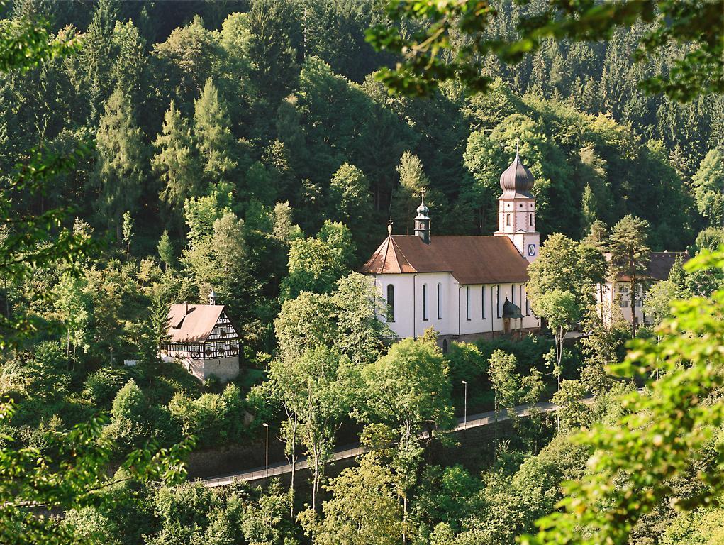 Western Schwarzwald Residenz Hotel 3*