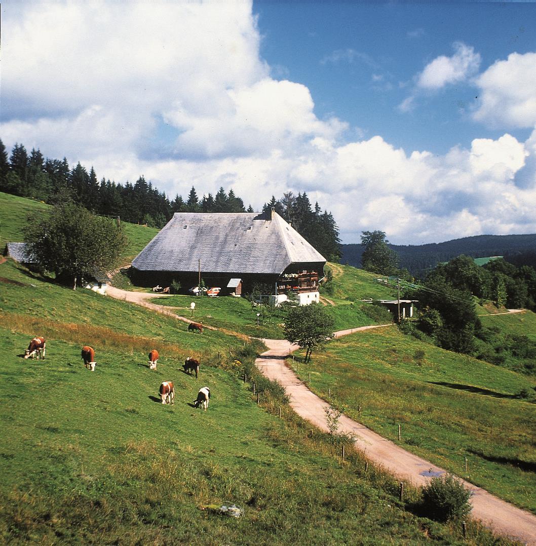 Western Schwarzwald Residenz Hotel Triberg im Schwarzwald